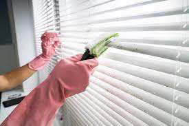 Tips to Clean and Maintain your Window Blinds Properly