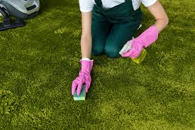Turf cleaning service – Reliable Turf Cleaning Service for Long-Lasting Results