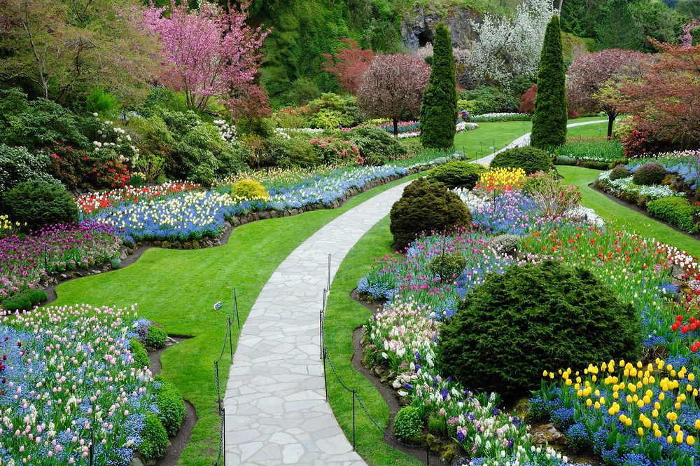 Acquiring the very best Prices With Landscapers