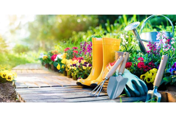 Innovative Selling Techniques for Bakersfield Property Owners